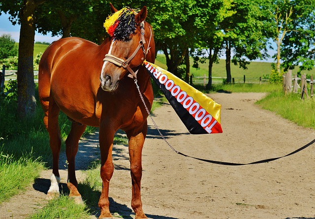 的经典案例 的经典案例