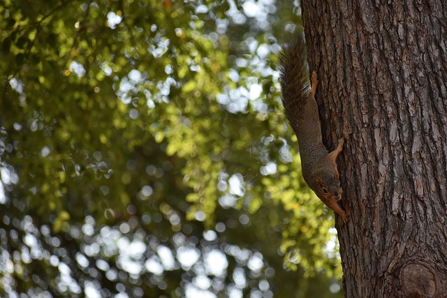 待欧超联赛 待欧超联赛