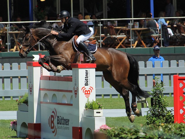 他拥有出色 他拥有出色